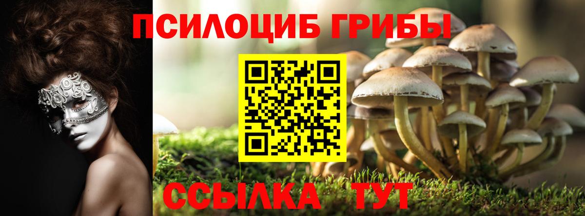 Псилоцибиновые грибы GOLDEN TEACHER Тихвин